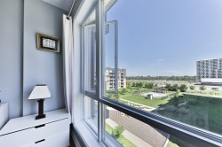 View - 