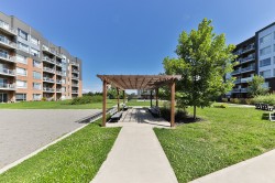 Garden - 