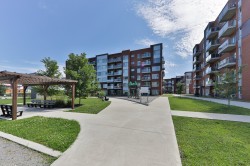 Garden - 