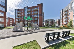 Garden - 