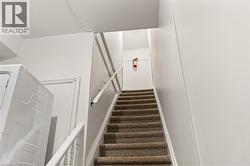 Carpeted staircase with white handrails and balusters - 