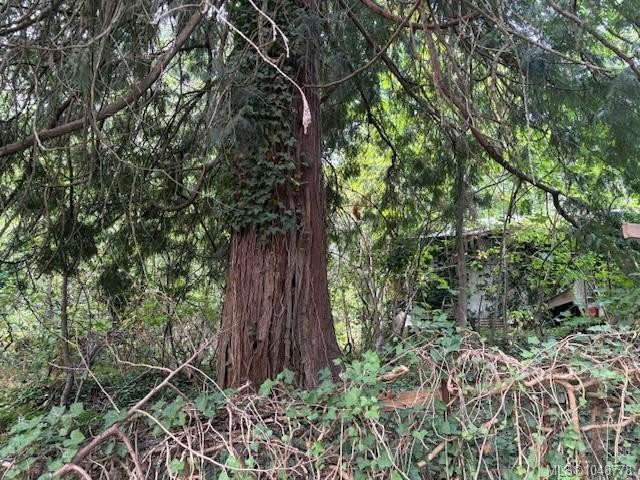 13050 Thomas Rd, Ladysmith, BC