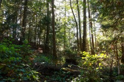 3624 Foc-sle Rd Pender Island, BC V0N 2M0