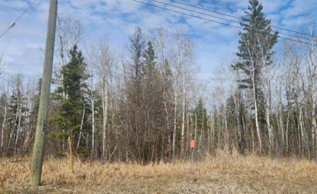 28 Whitetail Cr, Gimli Rm, MB