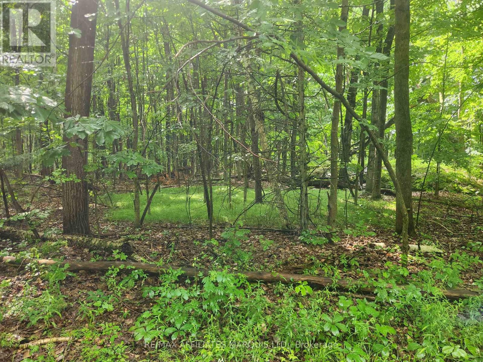 000 Cedar Sands Road Way, Rideau Lakes, ON