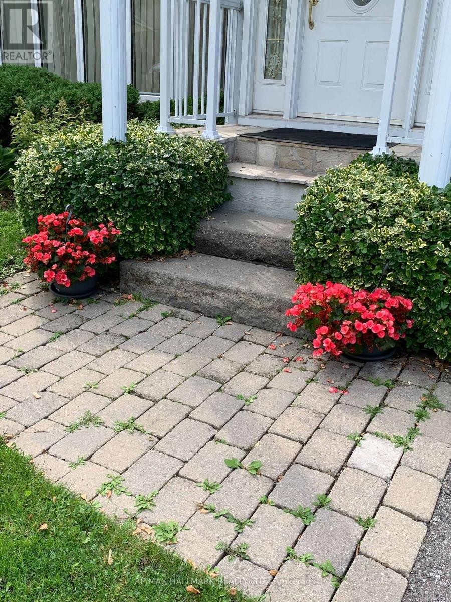 20 Elfreda Boulevard, Toronto, ON