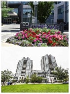 1029 - 120 HARRISON GARDEN BOULEVARD Toronto, ON M2N 0C2