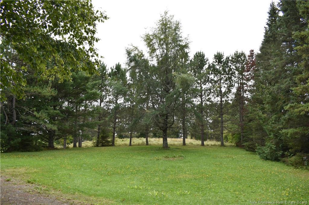 491 Rosedale, Rosedale, NB