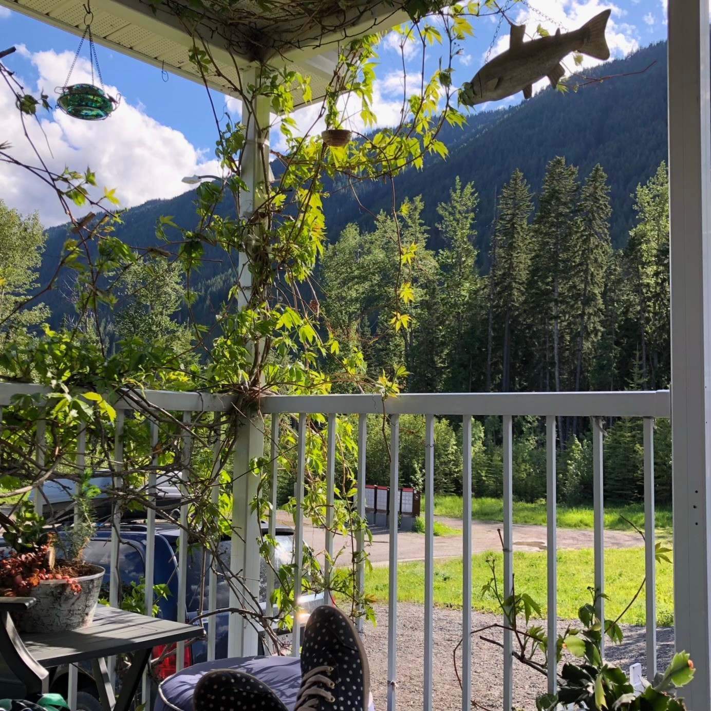 1201 Sycamore Road, Sparwood, BC