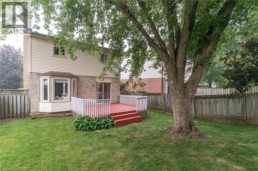 Expansive backyard featuring a mature tree, privacy fencing, and a multi-level deck with white railings - 543 Drummerhill Crescent, Waterloo, ON