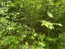 0 SUGARBUSH CRESCENT Trent Lakes, ON K0L 1J0