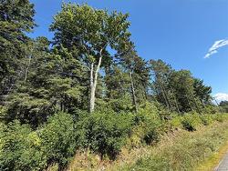 Lot 26-01 Route 105 Upper Queensbury, NB E6G 1X1