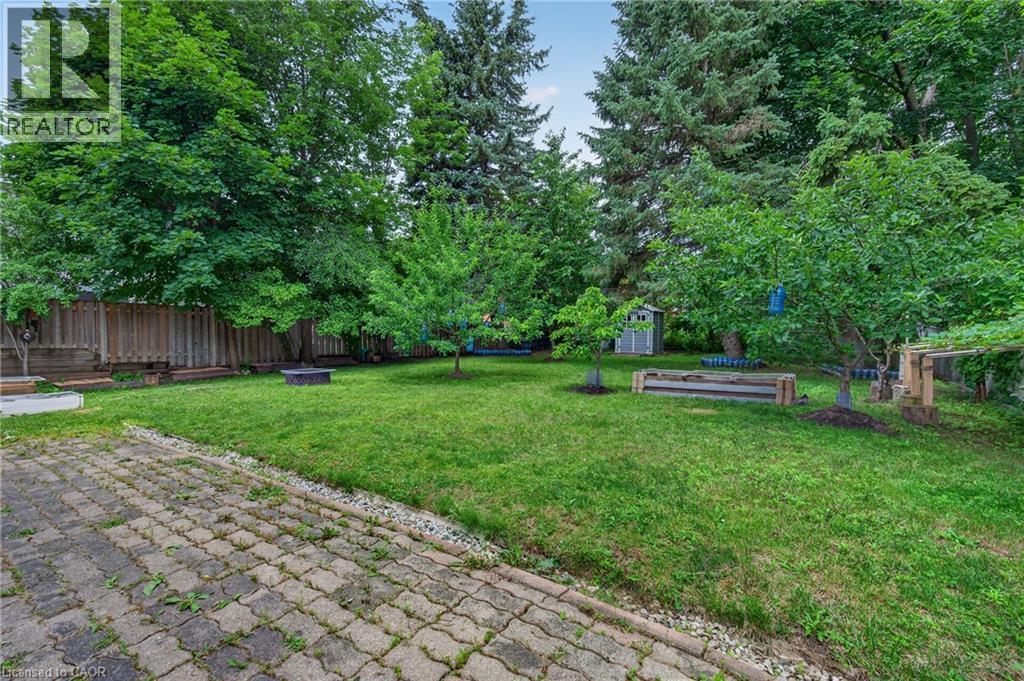 Expansive green lawn with mature trees and a paved patio area - 114 Shuh Avenue, Kitchener, ON