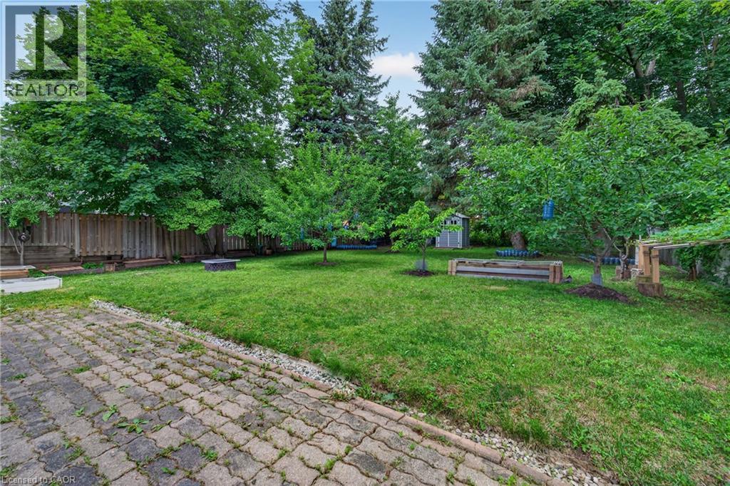 Expansive green space featuring mature trees, a privacy fence, and a paved patio area - 114 Shuh Avenue, Kitchener, ON
