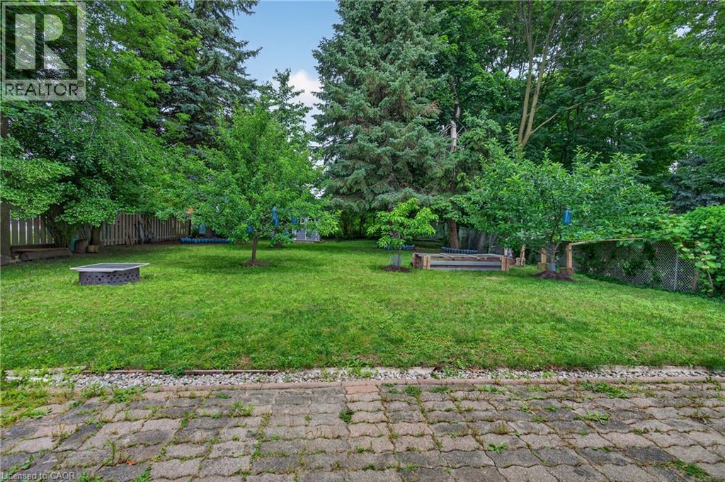 Expansive lawn bordered by mature trees and a wood fence - 114 Shuh Avenue, Kitchener, ON