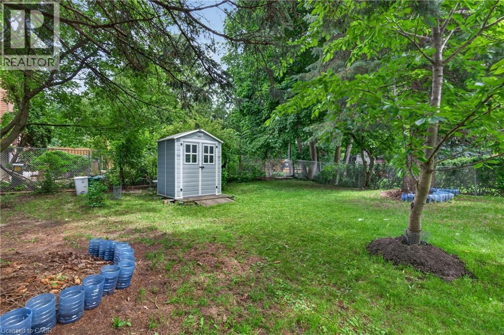 Expansive lawn area featuring a storage shed and mature trees - 114 Shuh Avenue, Kitchener, ON