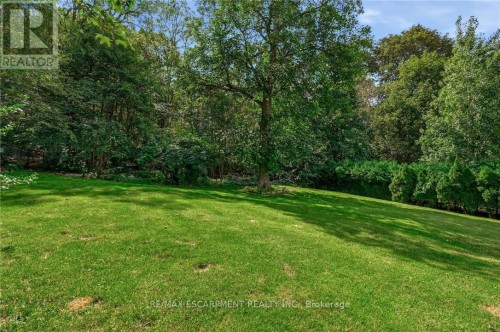 79 Amelia Street, Hamilton, ON 