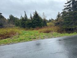 28-34 Conrans Road Chapel's Cove, NL AOA 1V0