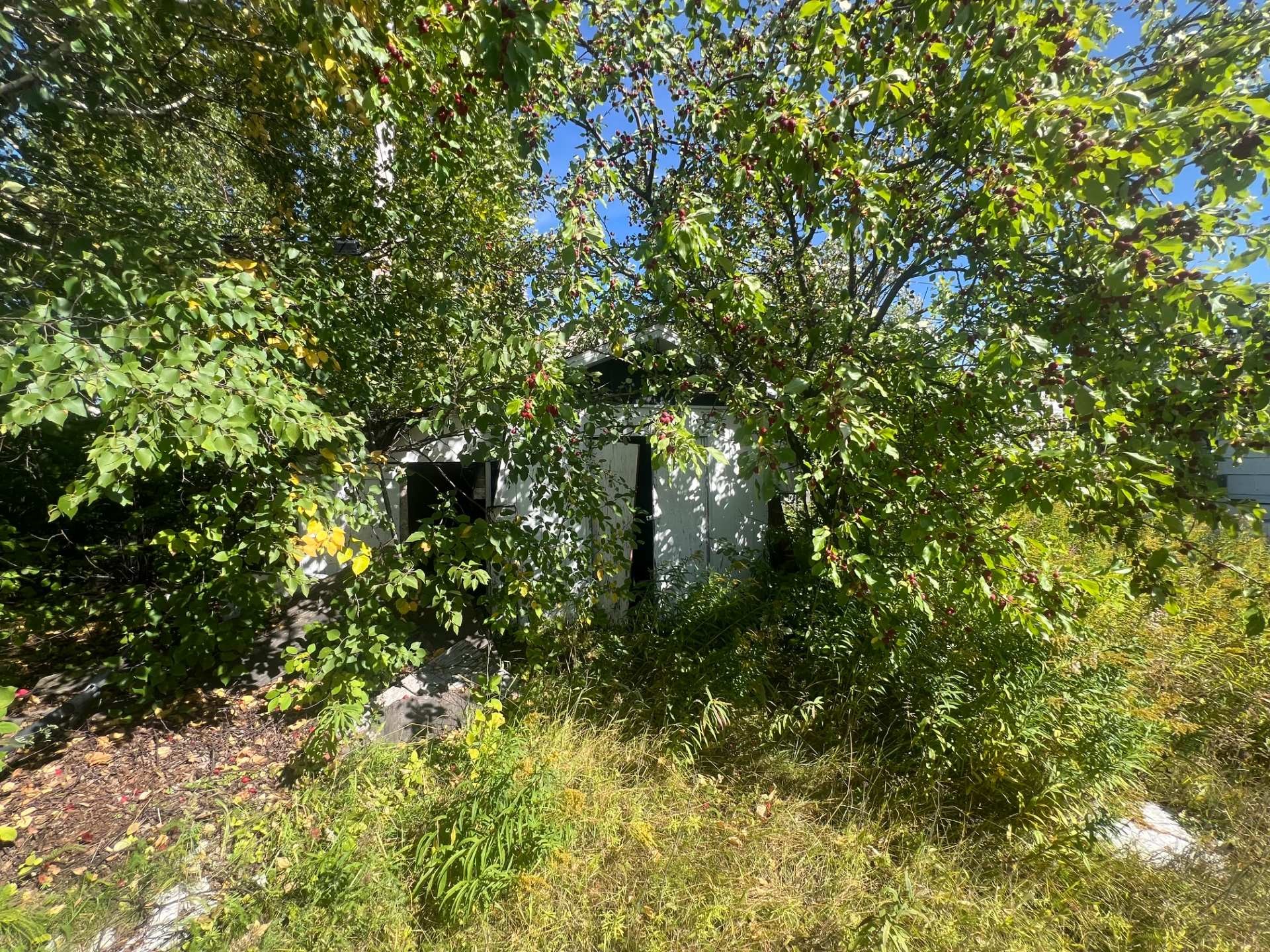 Cour - 11 7E Rue, Chapais, QC