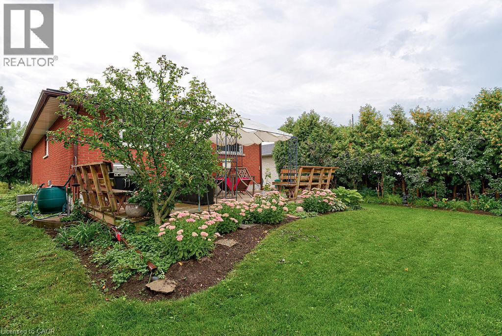 Expansive green lawn with established garden beds and mature trees offering privacy - 210 Shelley Drive, Kitchener, ON