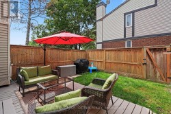 Backyard -