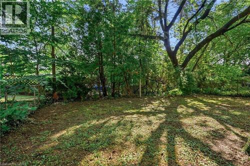 13 Allan Avenue, Hamilton, ON 
