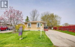 MAIN - 36 REIGATE AVENUE Brampton, ON L6V 2E3