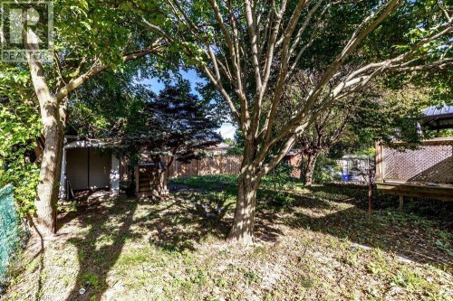 Expansive backyard featuring mature trees, a wooden fence, and a wooden deck with lattice detailing - 860 Garth Street, Hamilton, ON 