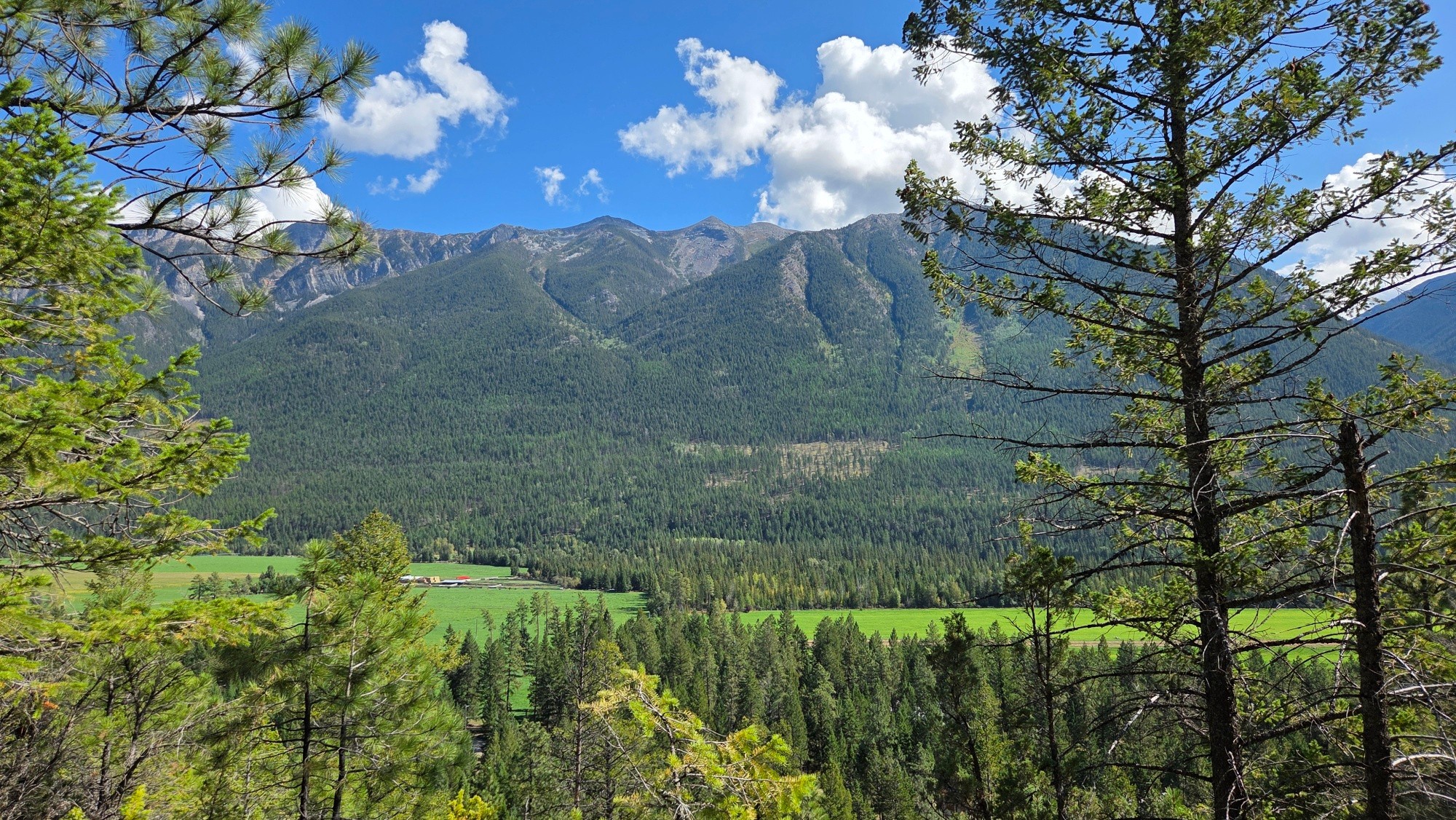 3410 Simon Road, Skookumchuck, BC