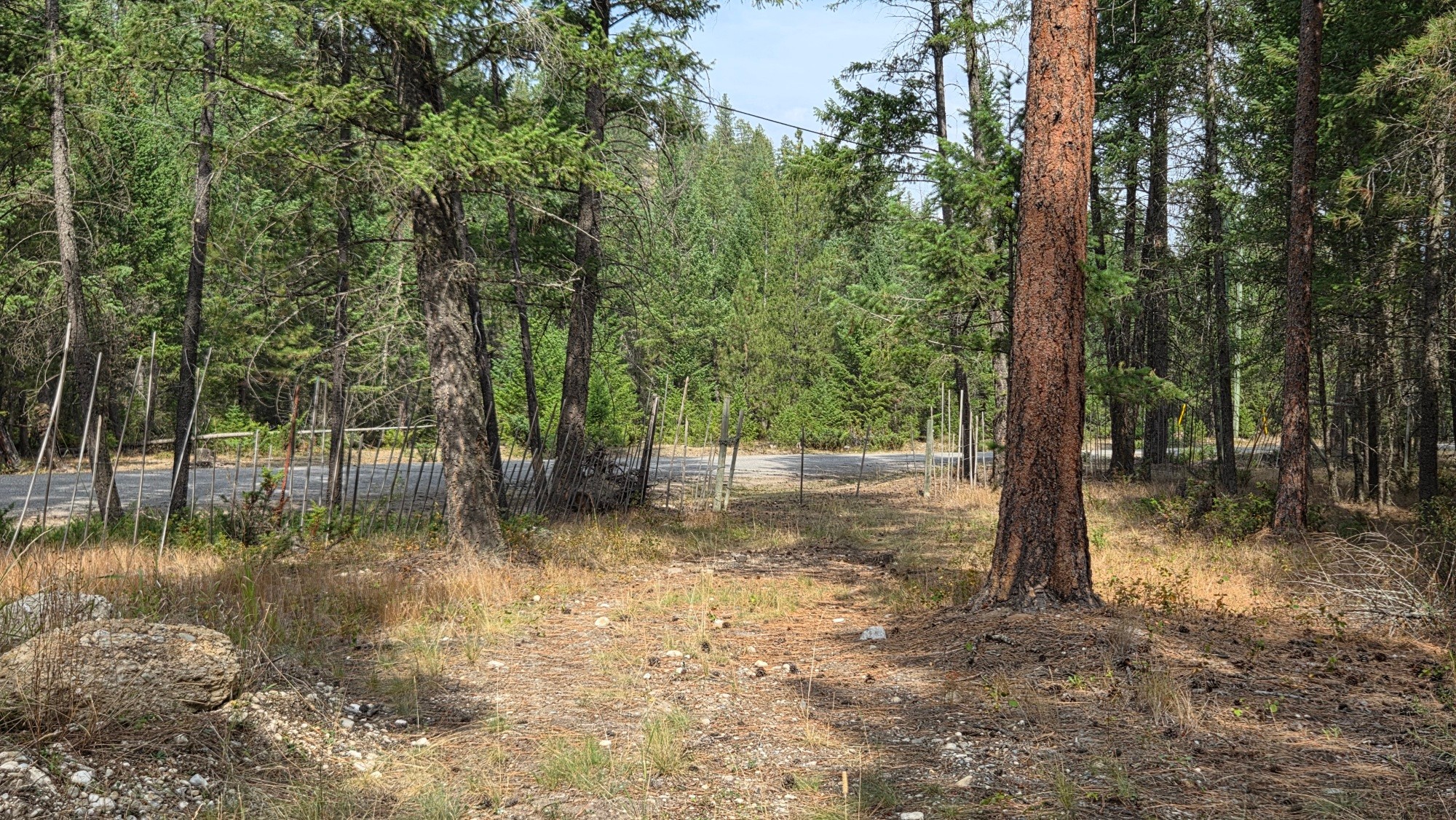 3410 Simon Road, Skookumchuck, BC