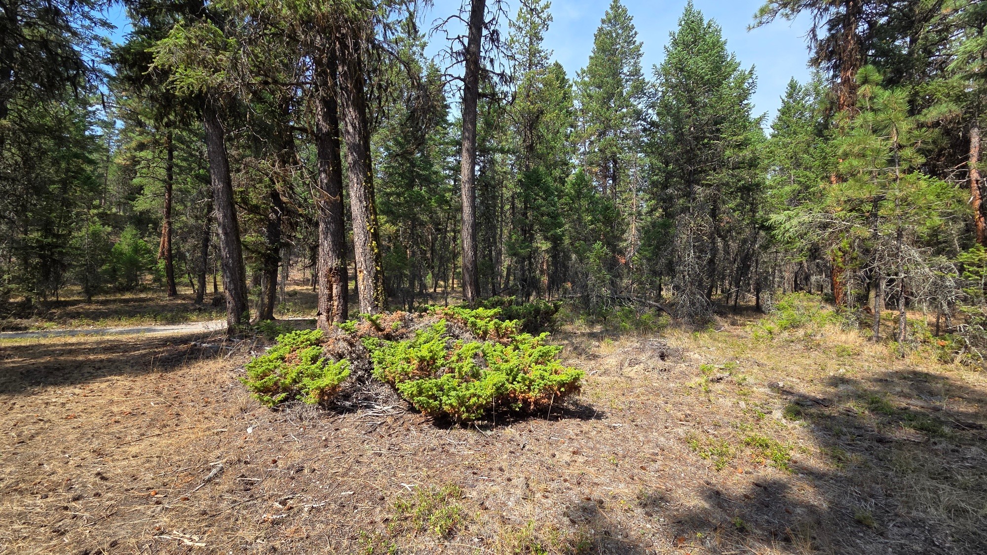 3410 Simon Road, Skookumchuck, BC