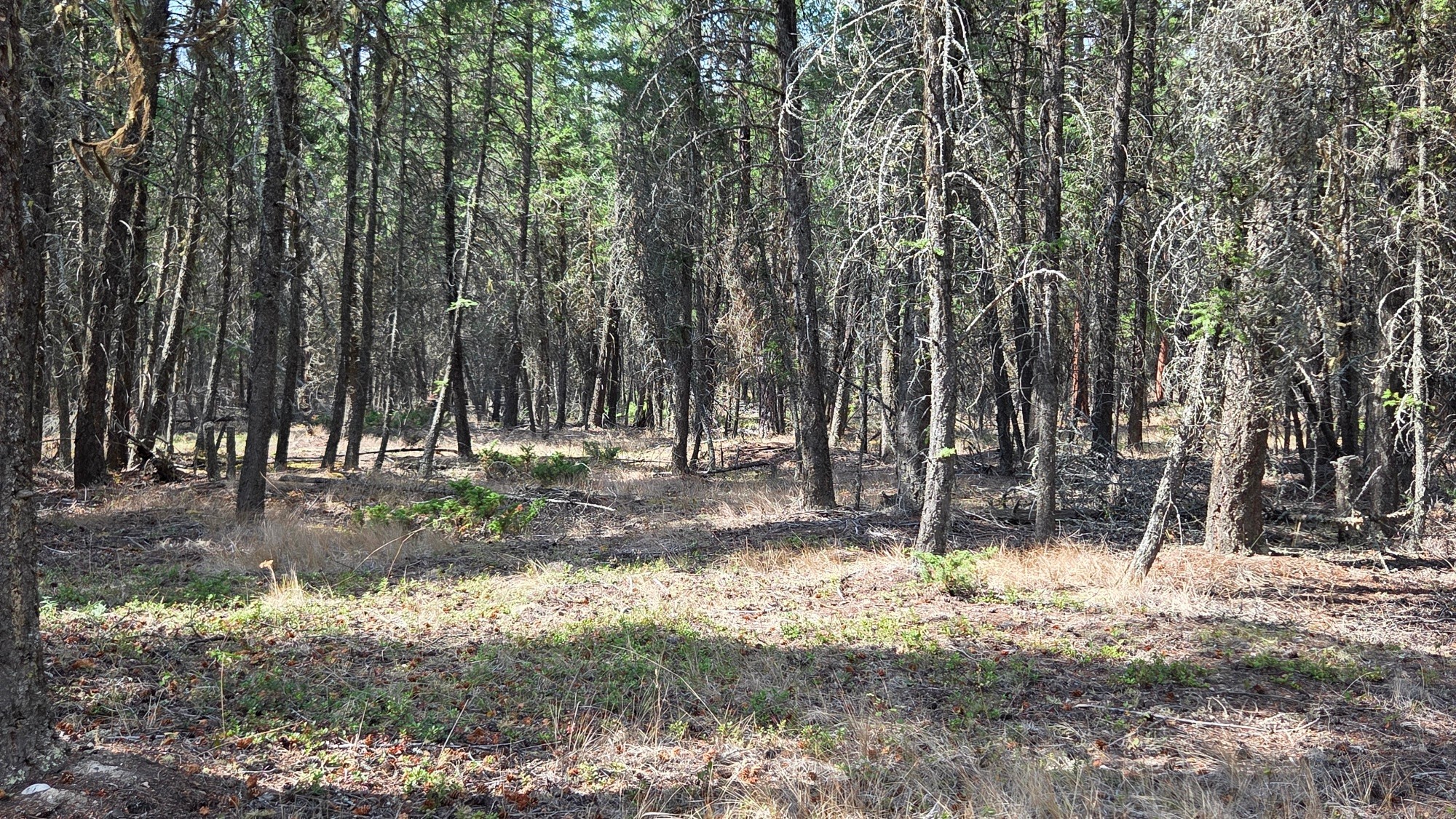 3410 Simon Road, Skookumchuck, BC