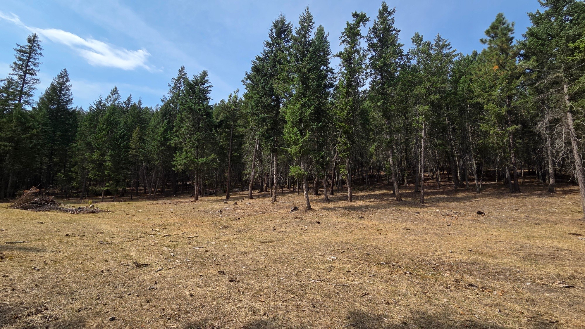 3410 Simon Road, Skookumchuck, BC