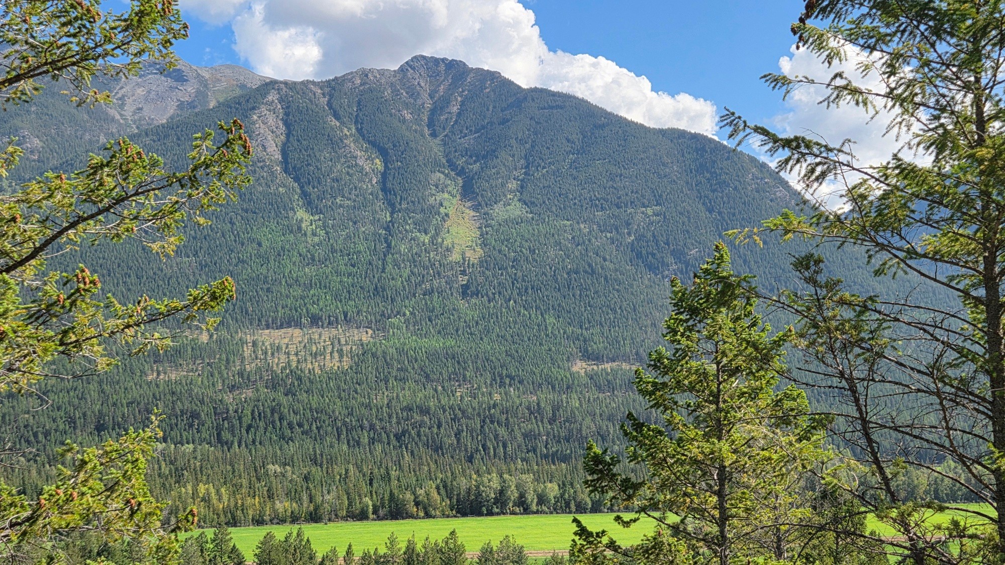 3410 Simon Road, Skookumchuck, BC