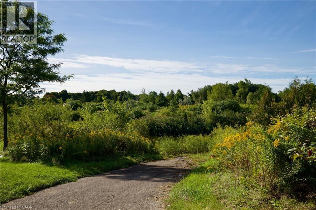 Paved pathway with surrounding grassy areas and mature trees - 95 Resurrection Drive, Kitchener, ON