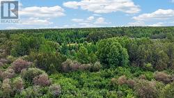 LOT 1 CONC 10 CONCESSION Cochrane Remote Area (Hallebourg), ON P0L 1L0