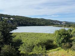 0 Bareneed Road Bareneed, NL A0A 1W0