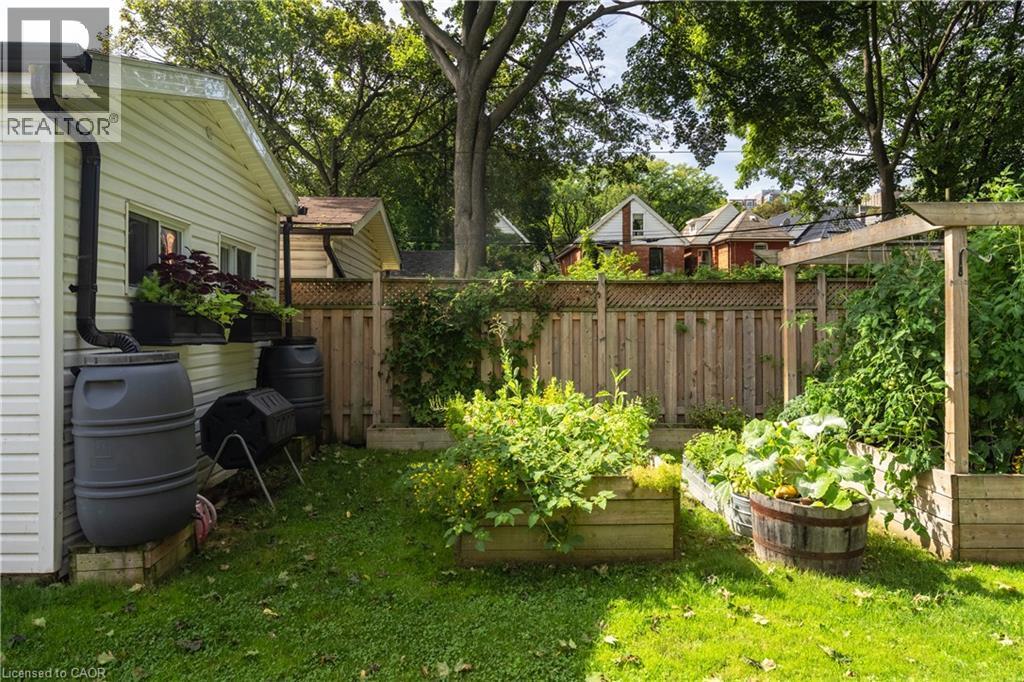 Expansive yard featuring a manicured lawn, raised garden beds, and a wood privacy fence - 50 Norway Avenue, Hamilton, ON