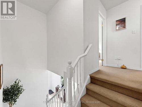 229 Dicenzo Drive, Hamilton, ON 