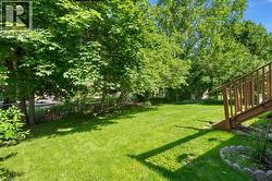 Expansive lawn area with mature trees and a wood deck staircase - 