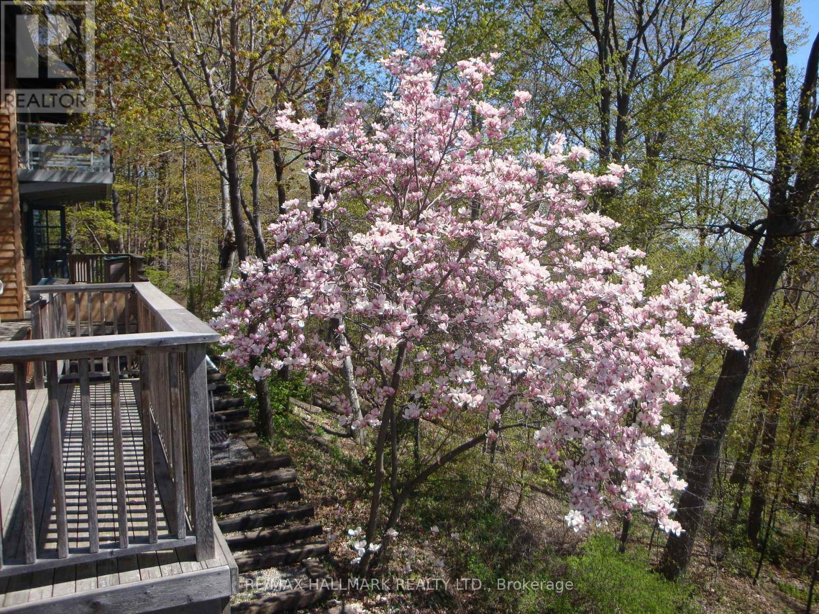2 Ledge Road, Toronto, ON - Outdoor