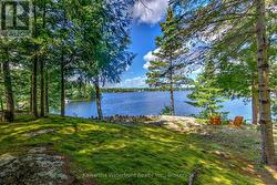 Waterside Granite and Moss - 