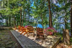 Deck - 