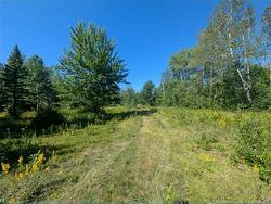 5569 Route 134 Allardville, NB E8L 1A9