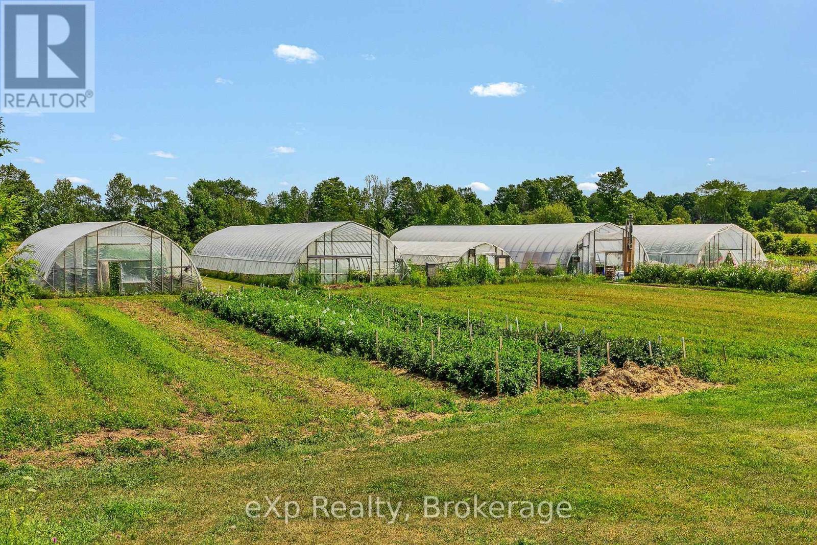 805092 Sideroad 25, Grey Highlands, ON - Outdoor