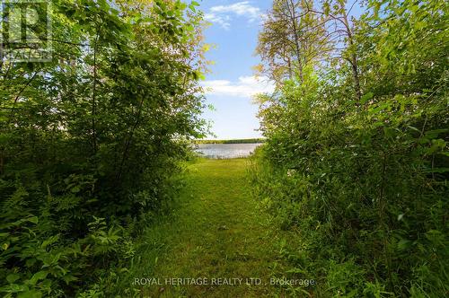 213 MONCK RD CTY 45 ROAD  Kawartha Lakes, ON L0K 1W0