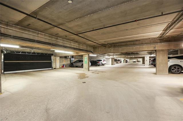 2204-84 Snow St, Winnipeg, MB - Indoor Photo Showing Garage