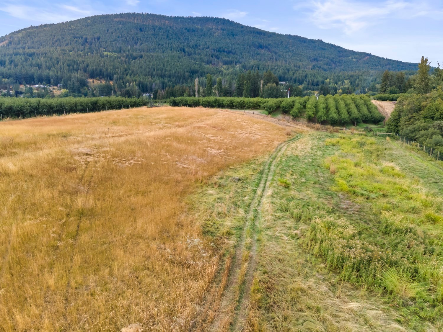 109 36Th Avenue, Erickson, BC