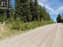 LOT 2 STARLIKE LAKE ROAD Williams Lake, BC V0K 2G0