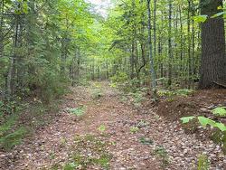 Don's Lot Green RD Elgin, NB E4Z 1T6
